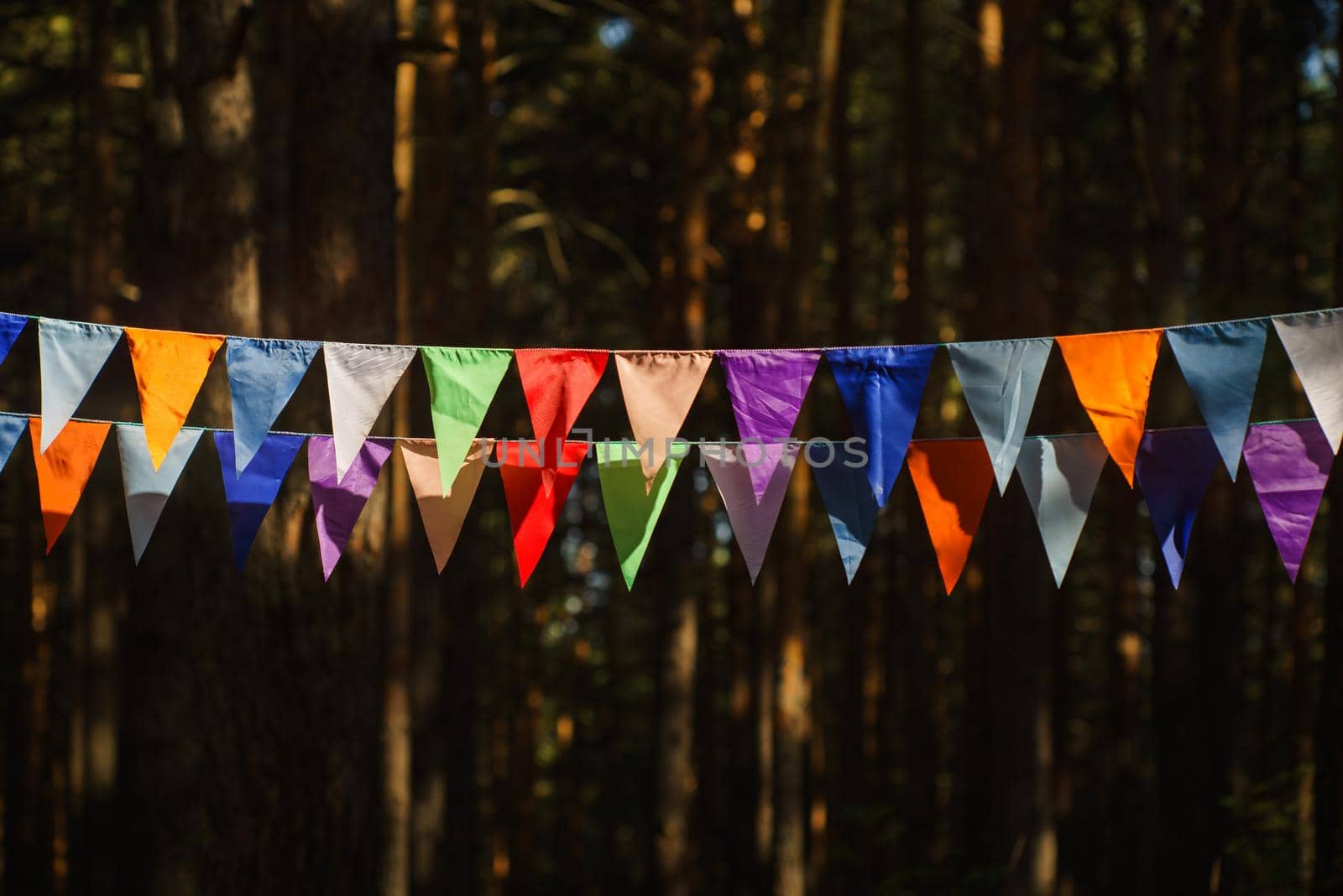 Carnival Garland with Flags, Decorative Party Pennants for Birthday Celebration, Festival and Fair Decoration, Hanging Flags, Bunting Flags ,Triangle Fabrics Hanging on the Rope, Bunting Background