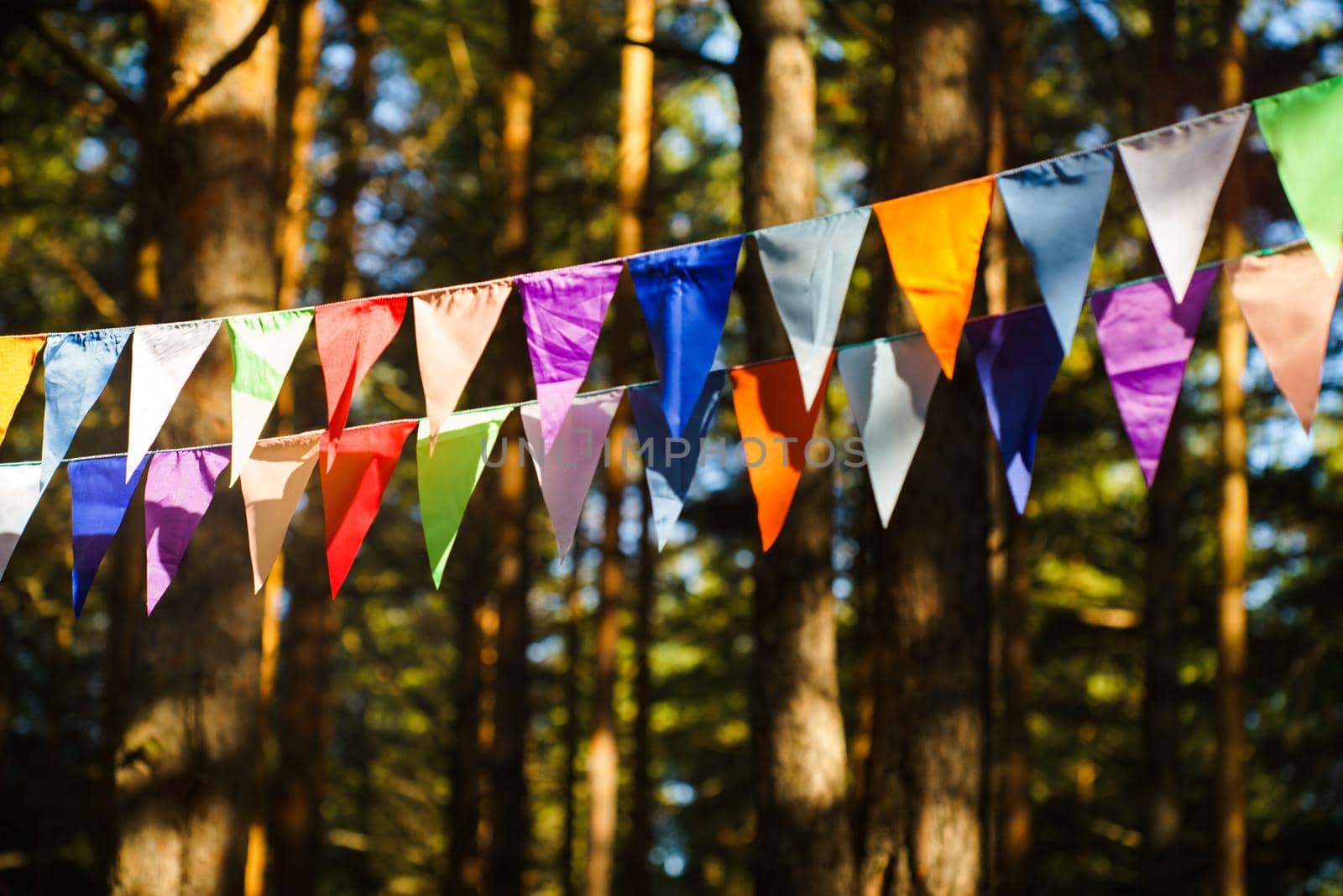 Carnival Garland with Flags, Decorative Party Pennants for Birthday Celebration, Festival and Fair Decoration, Hanging Flags, Bunting Flags ,Triangle Fabrics Hanging on the Rope, Bunting Background