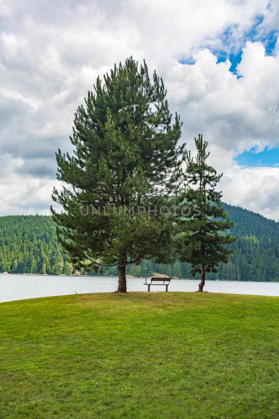 Relaxing place with a bench on a shore of Pacific ocean bay