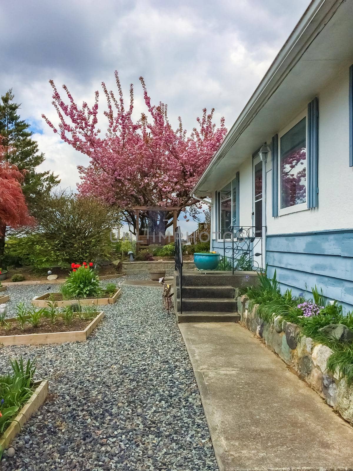 Pathway over front yard of residential house.