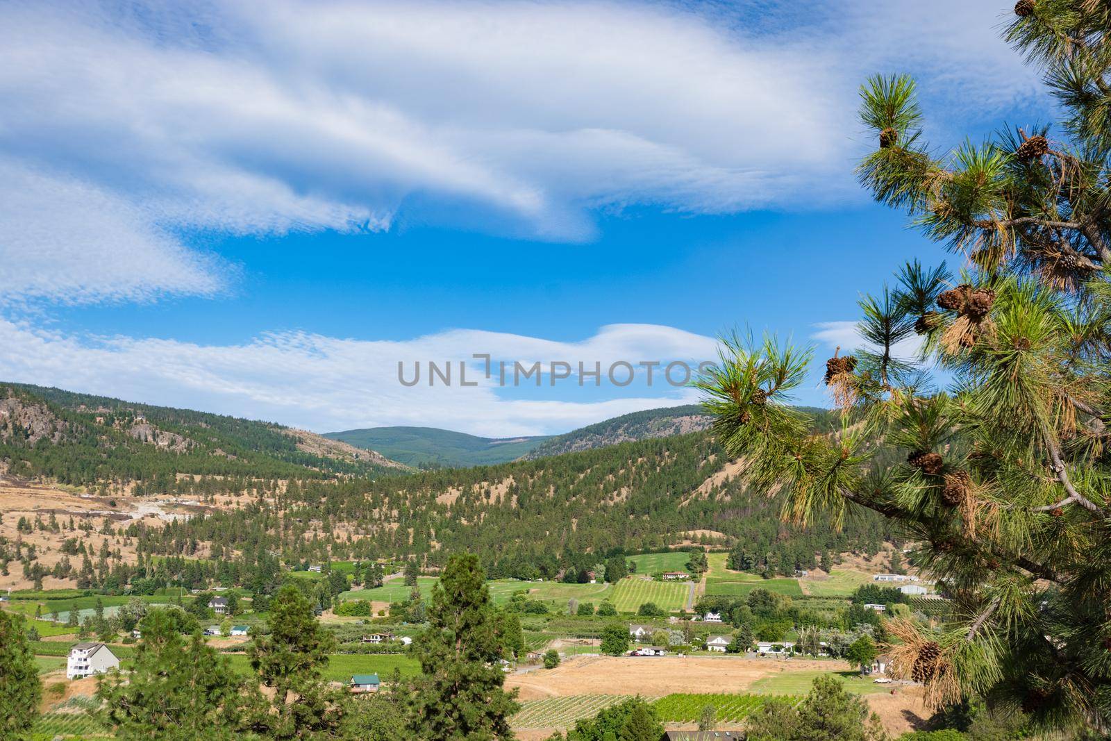 Farm land landscape on summer day in Okanagan valley