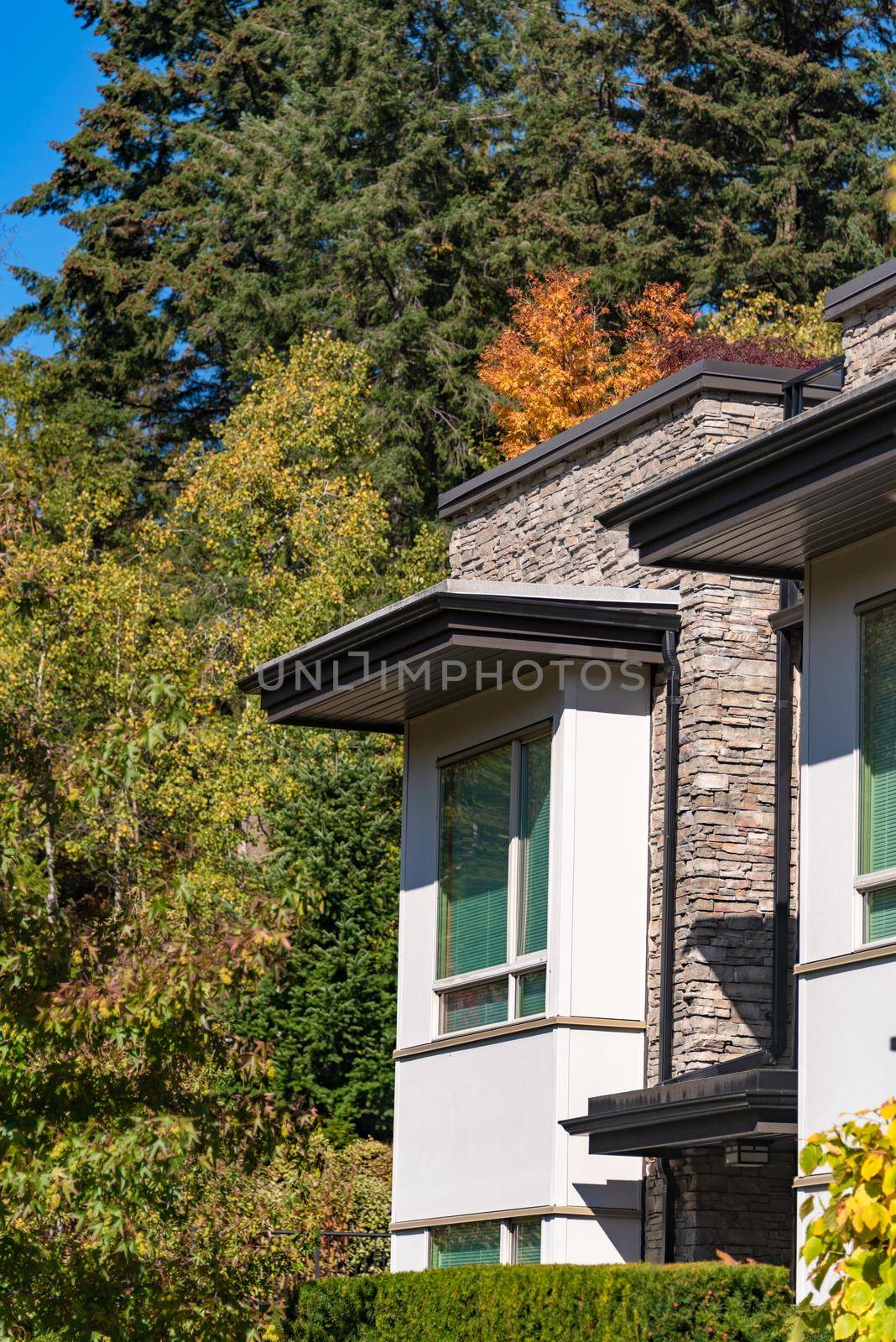 Window at upper level of residential building on green and yellow leaves background. Low rise building on fall season