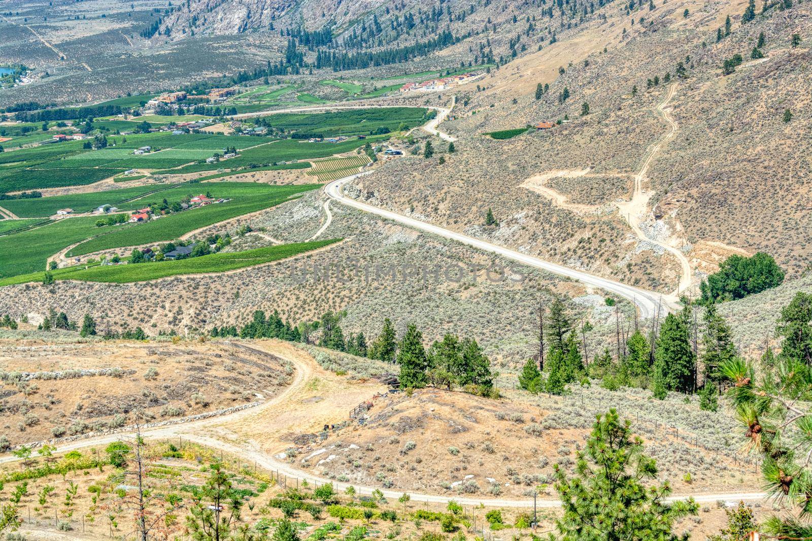 Landscape with orchard farms and residnetial houses at Okanagan lake on hot summer day