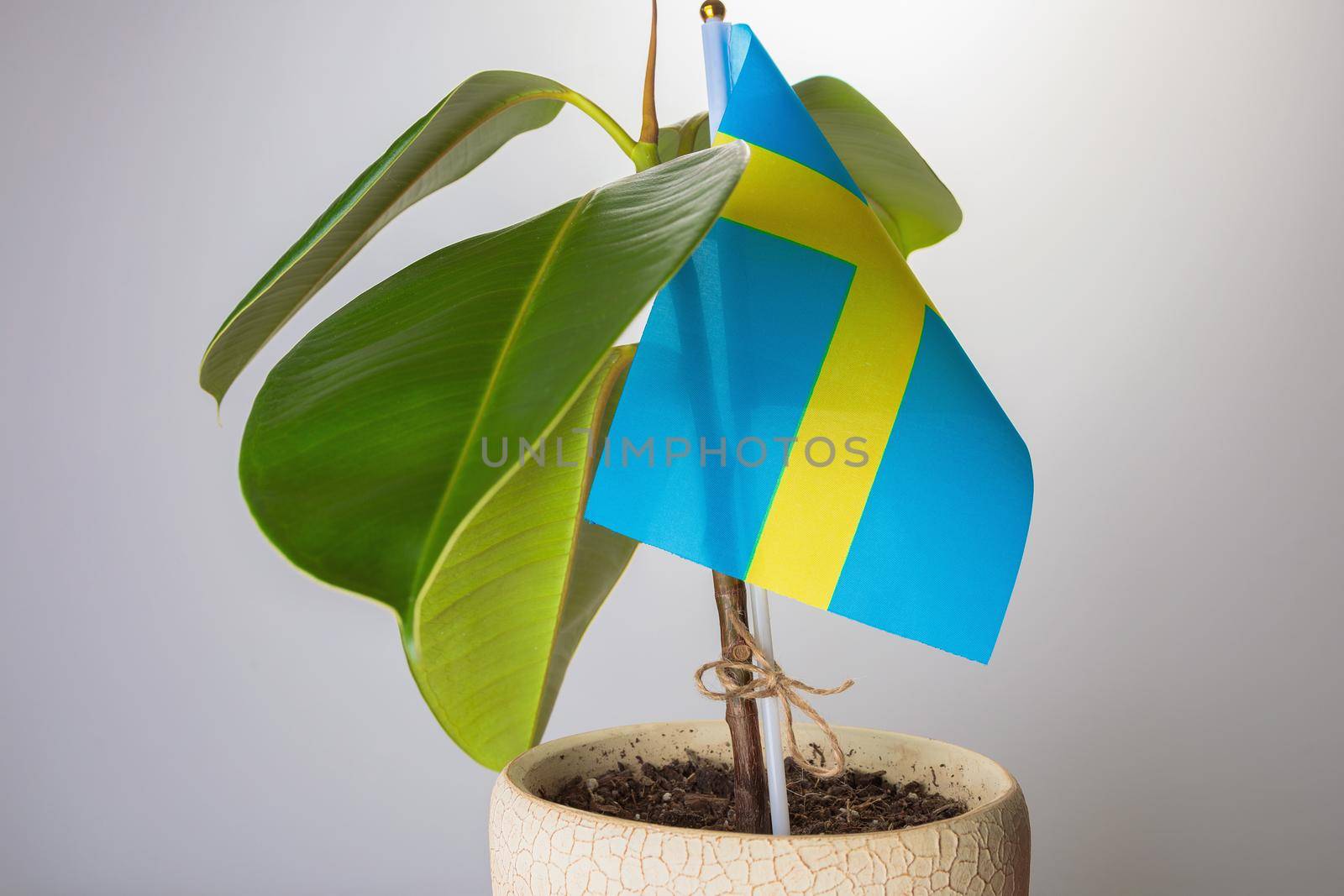 Sweden supports the country's ecology. Greening and cleansing the planet.