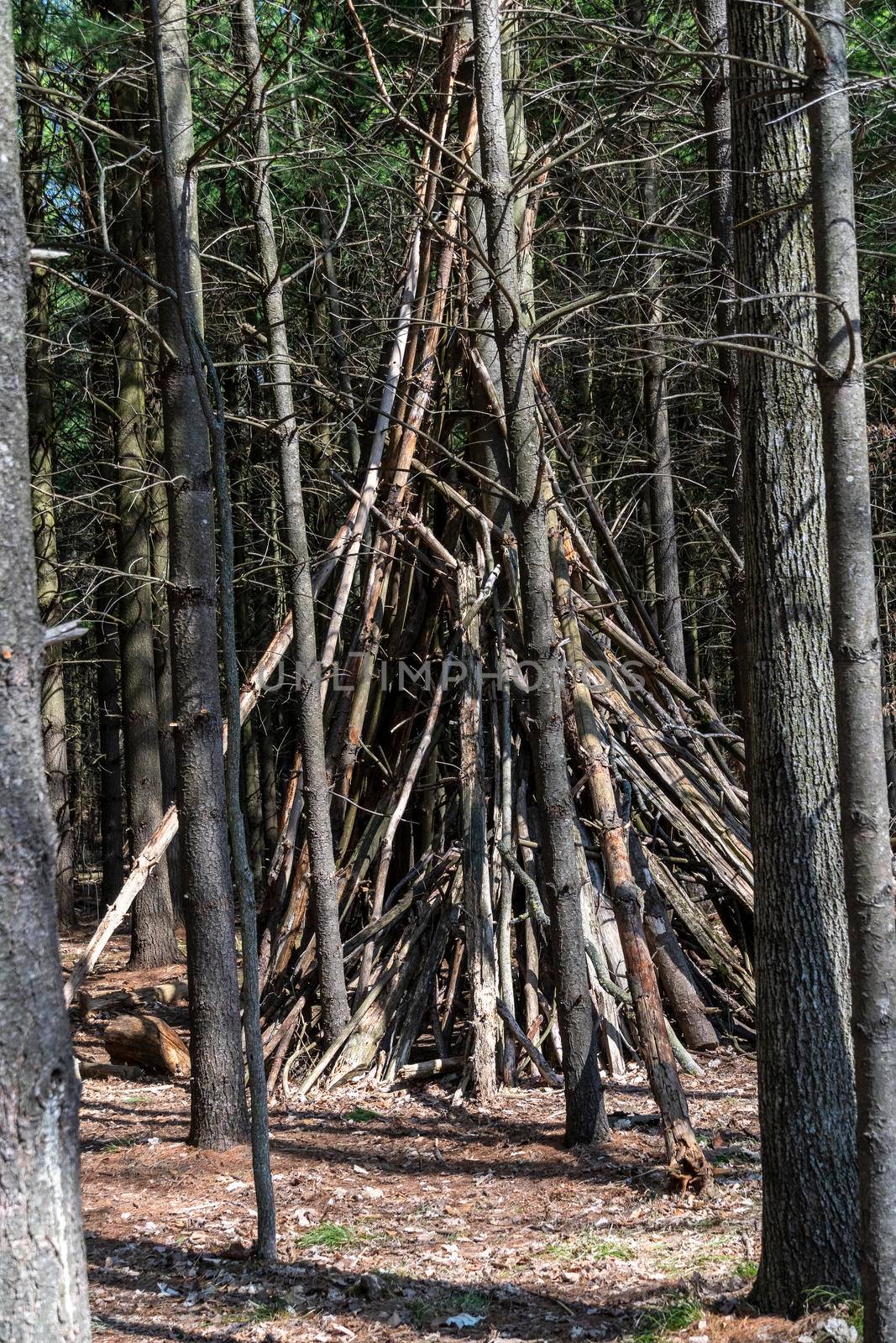 Deadwood folded in a pyramid in the Canadian forest by ben44