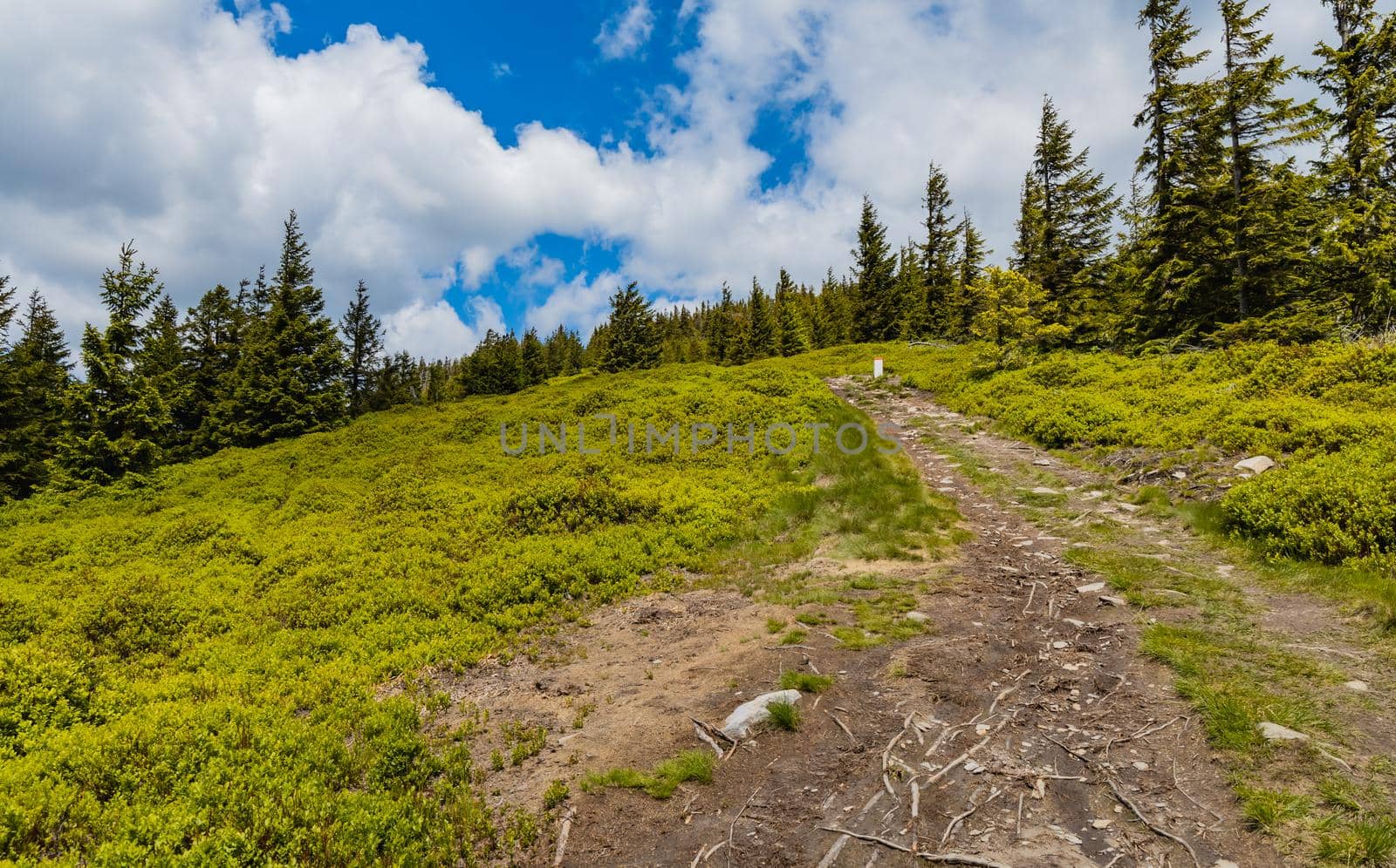 Long mountain trail with panorama if Karkonosze Giant Mountains around by Wierzchu