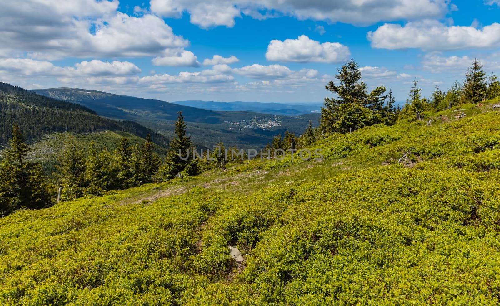 Panorama of Giant Mountains next to trail to Sniezka