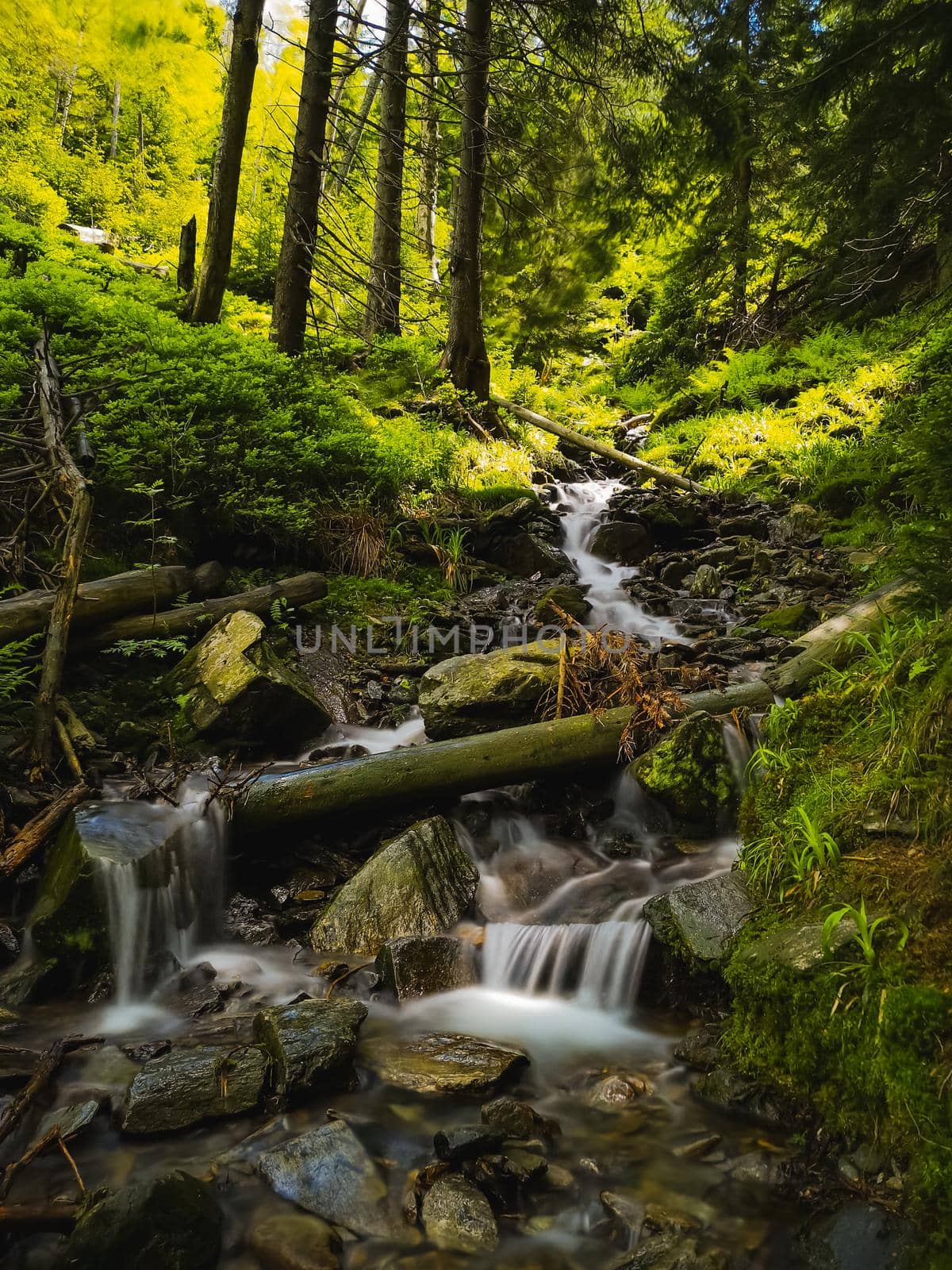 Small stony waterfall next to mountain trail in Giant Mountains