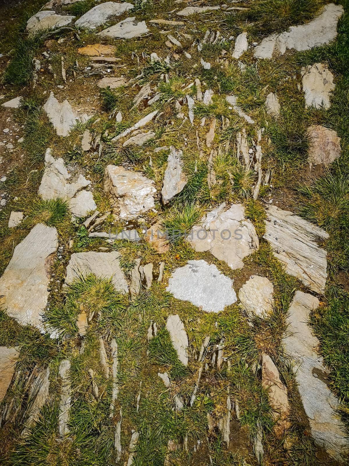 Stony and grassy mountain trail in Giant Mountains