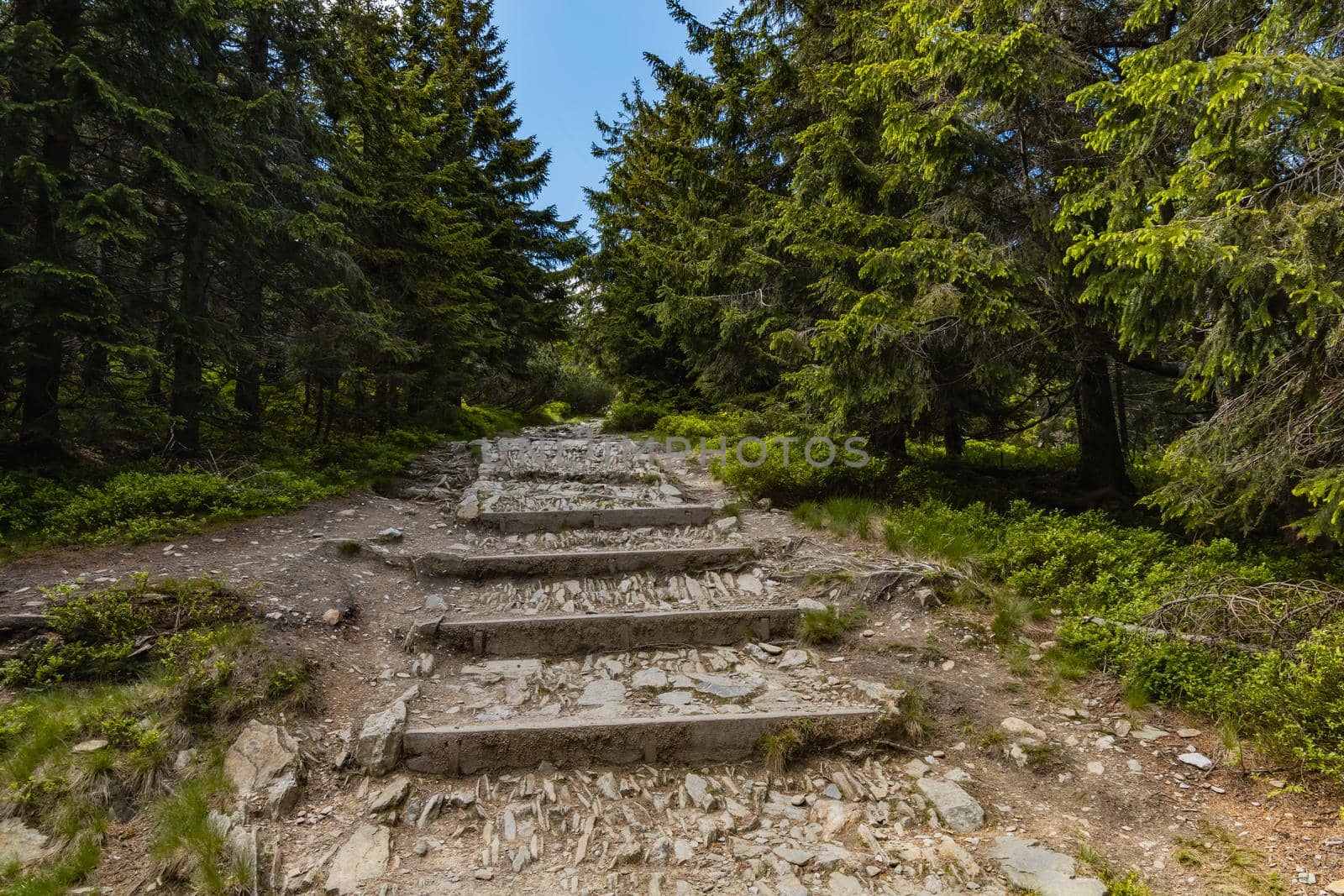 Long mountain trail full of stony stairs with panorama if Karkonosze Giant Mountains around