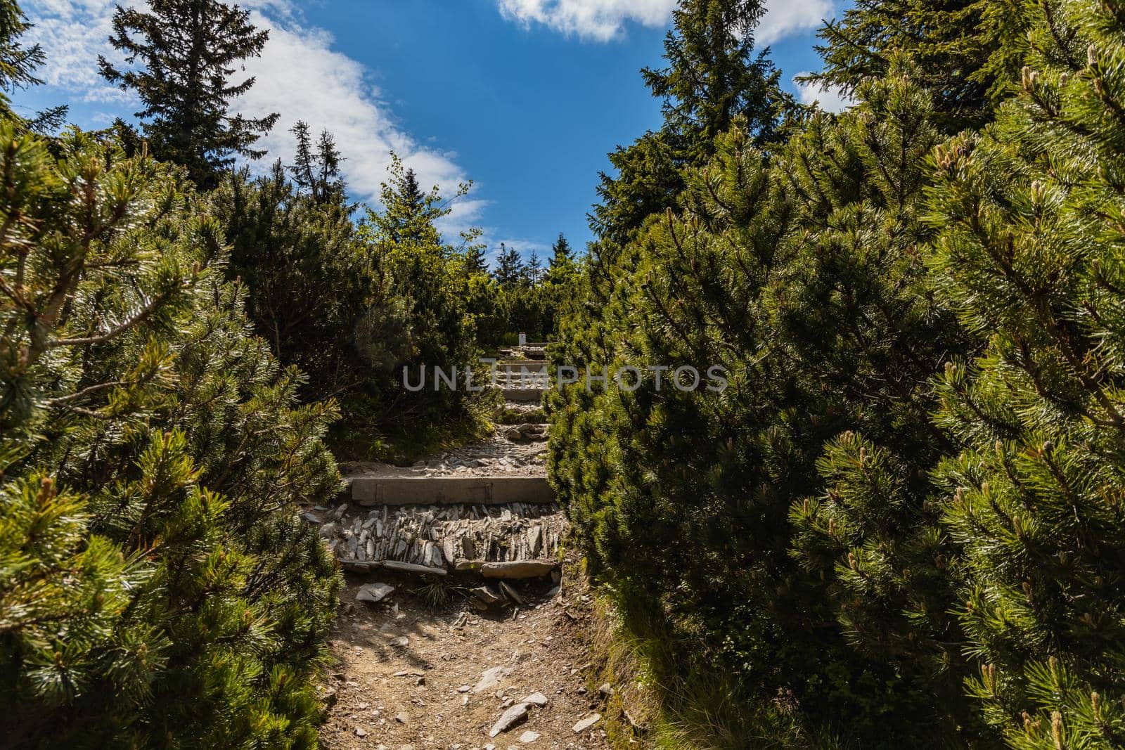 Long mountain trail full of stony stairs with panorama if Karkonosze Giant Mountains around