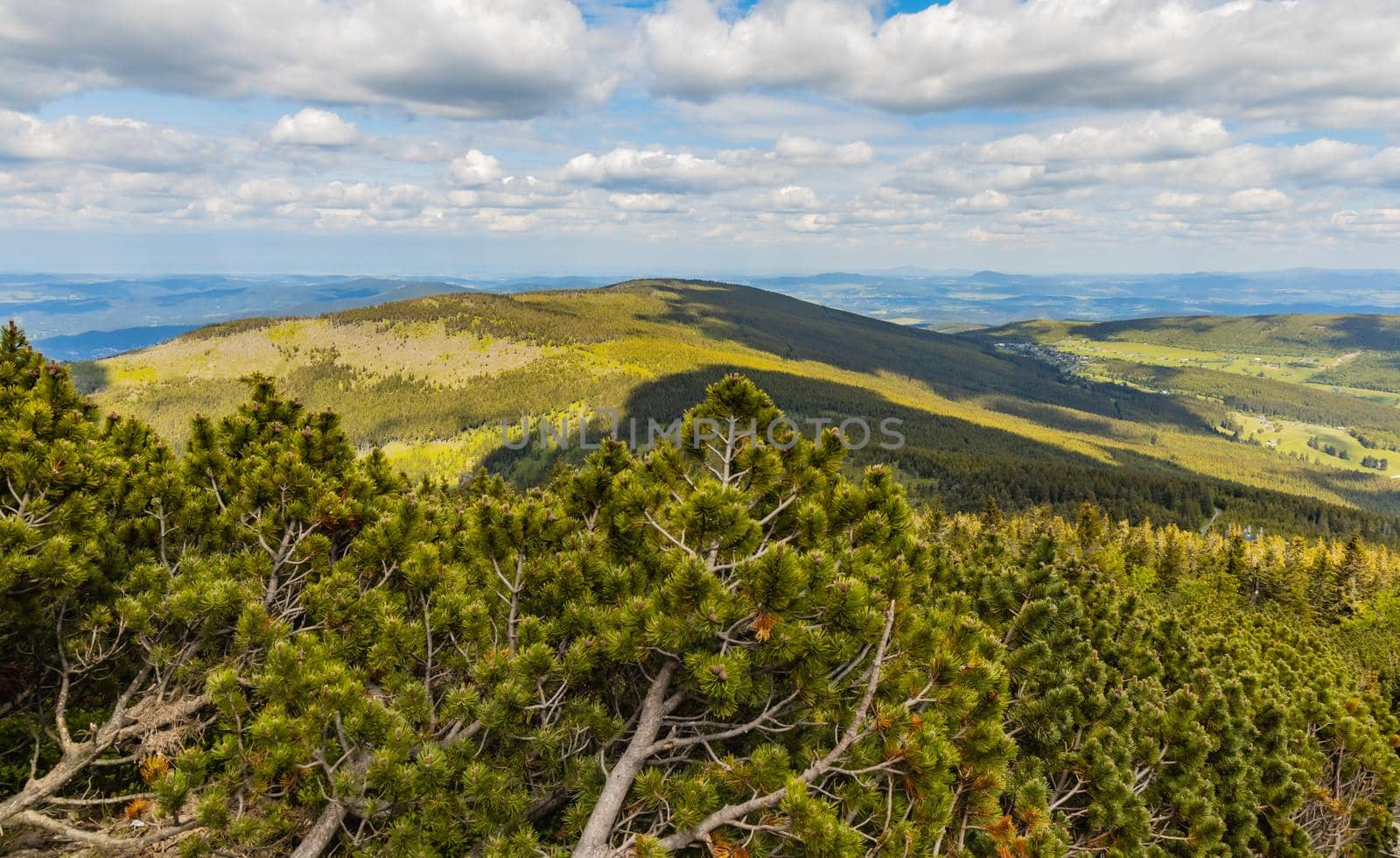 Panorama of Giant Mountains next to trail to Sniezka