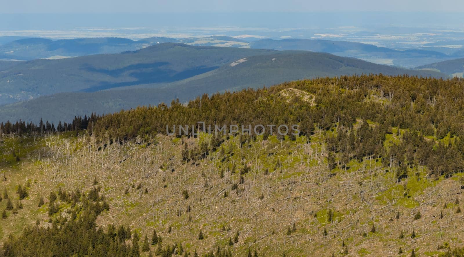 Panorama of Giant Mountains next to trail to Sniezka