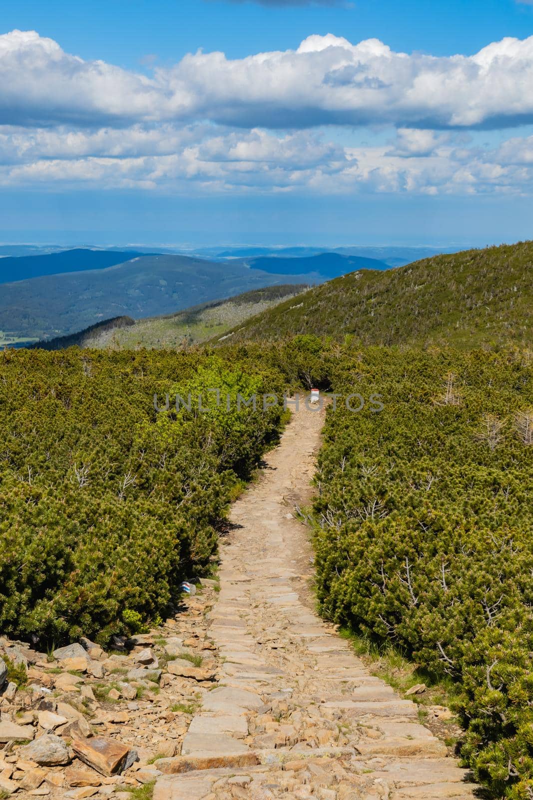 Long mountain trail with panorama if Karkonosze Giant Mountains around