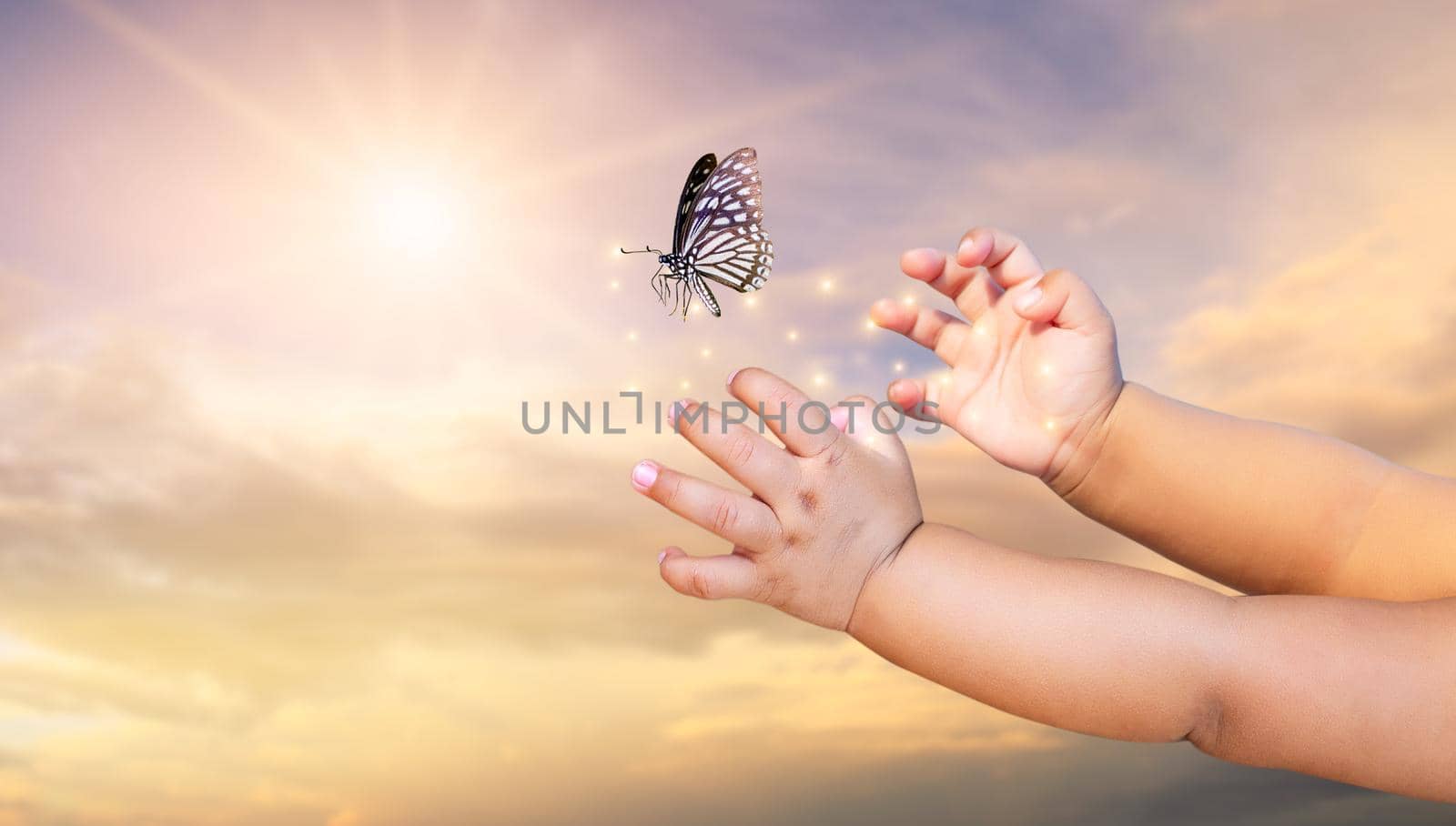 The Small child frees the butterfly from  moment Concept of freedom