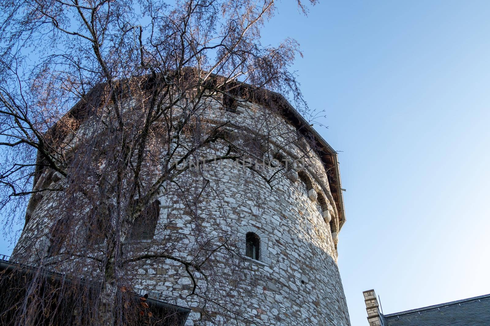 Low angle view at a tower and tree of Stolberg castle in Stolberg, Eifel by reinerc