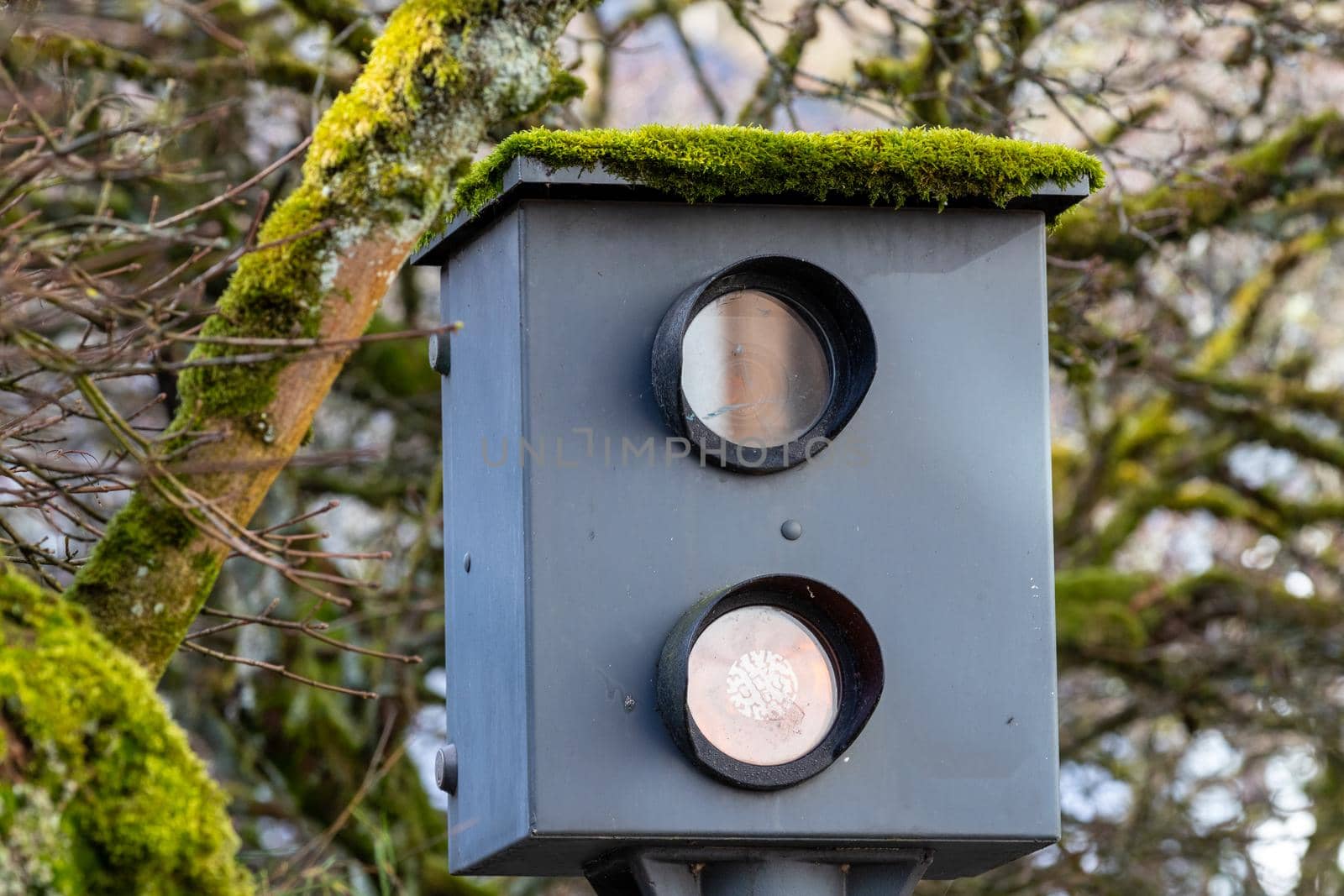Close-up of old speed measuring device with moss on the roof in Monschau