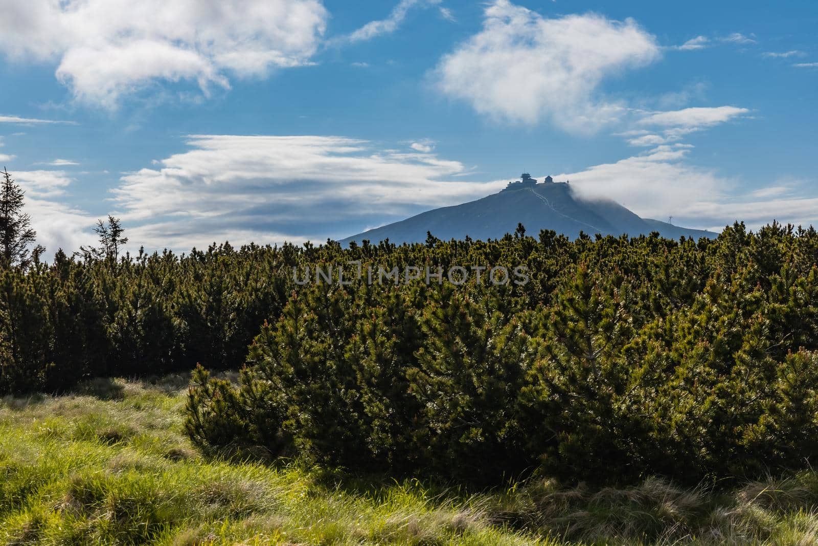 Panorama of Giant Mountains next to trail to Sniezka by Wierzchu