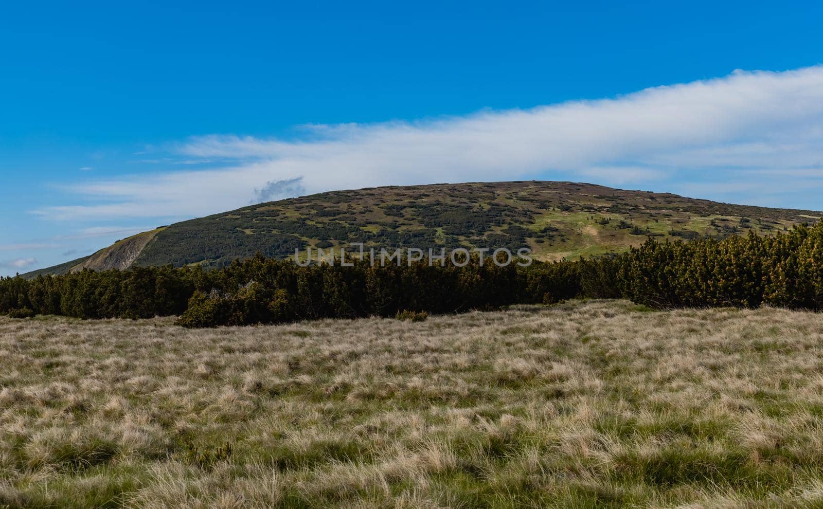 Panorama of Giant Mountains next to trail to Sniezka by Wierzchu