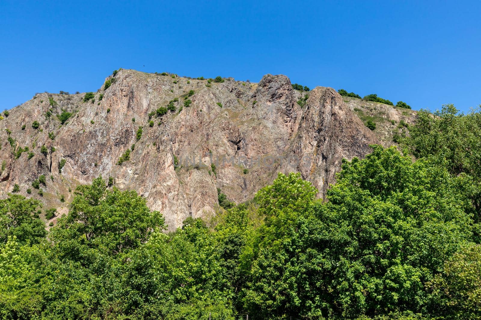 Scenic view of the Rotenfels nearby Bad Muenster am Stein Ebernburg by reinerc