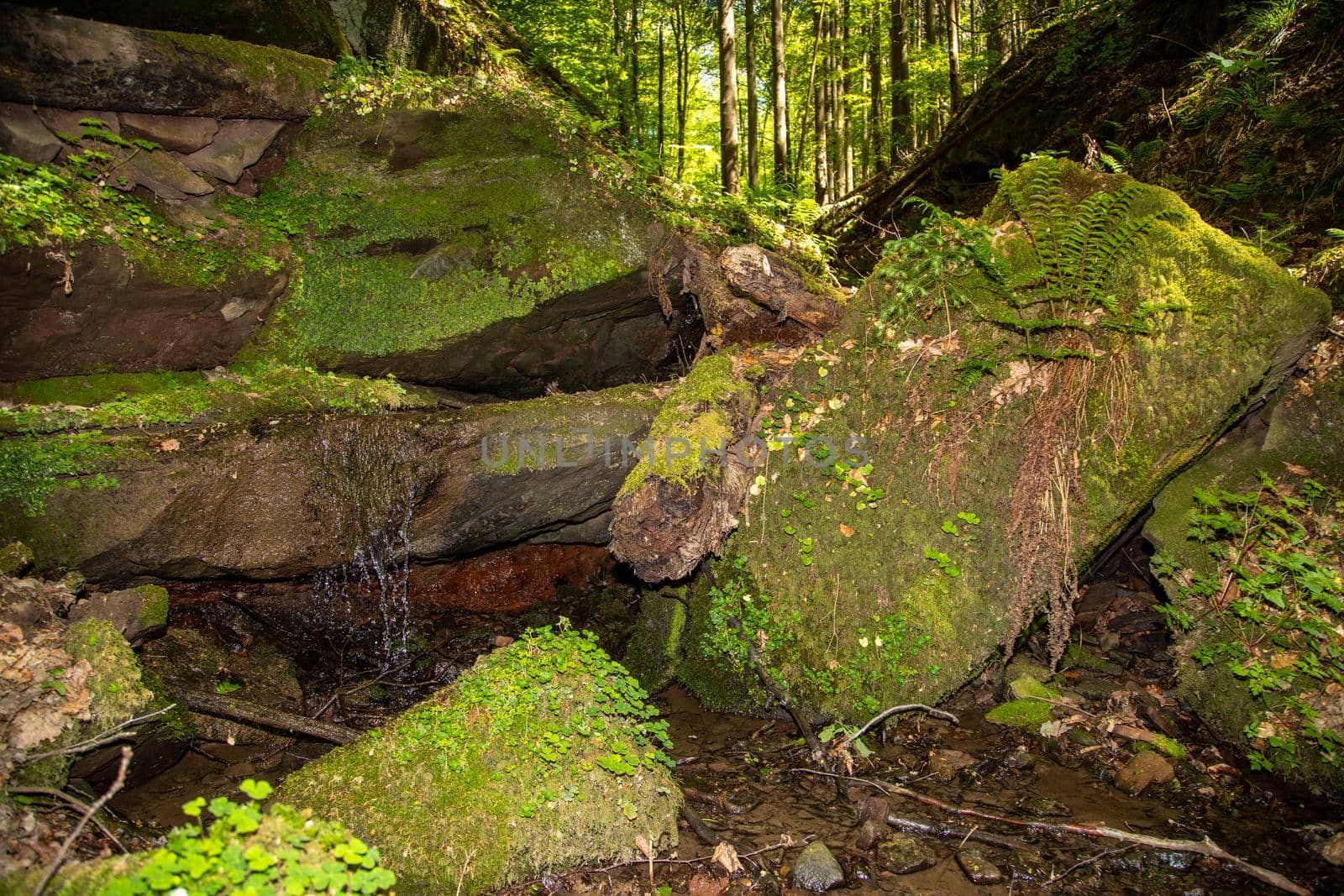 Water flowing over moss covered rocks  by reinerc