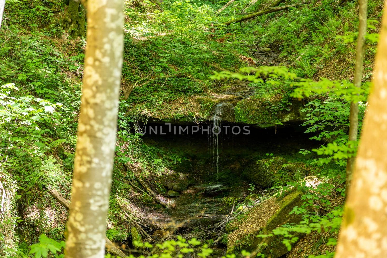 Water flowing over moss covered rocks  by reinerc