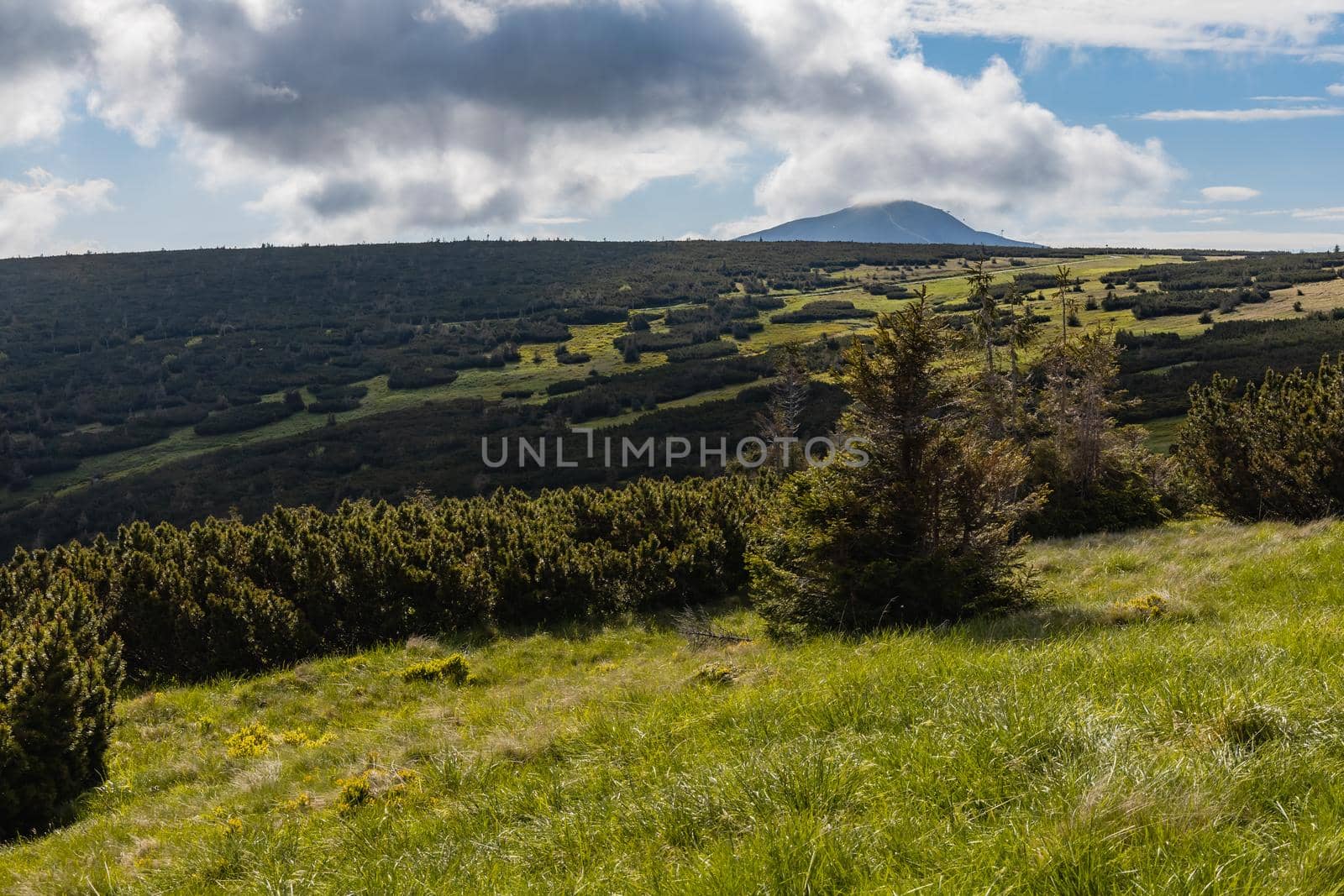 Panorama of Giant Mountains next to trail to Sniezka by Wierzchu