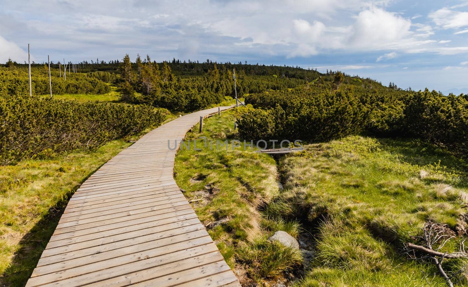 Long mountain trail with panorama of Karkonosze Giant Mountains around by Wierzchu