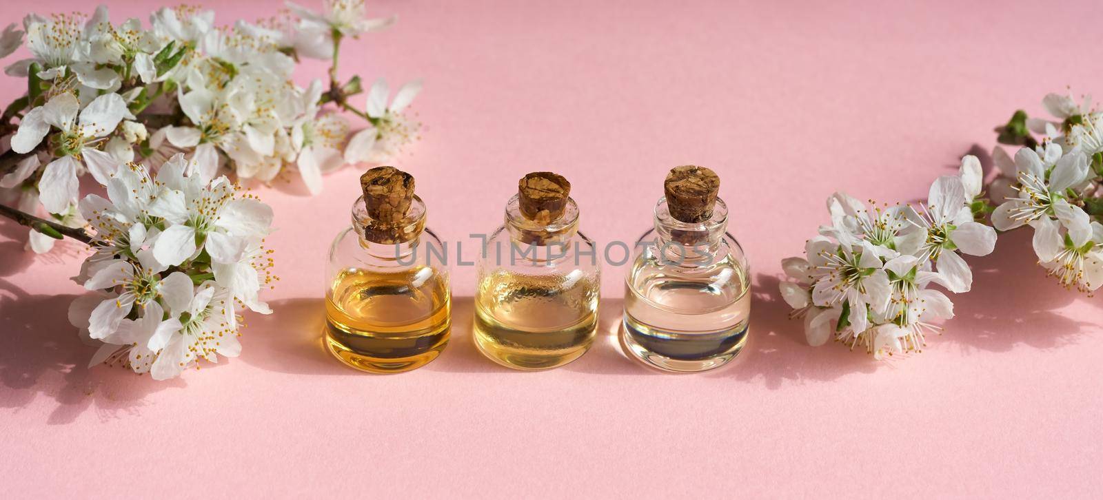 Panoramic header with three bottles of essential oil on a pink background with spring blossoms by madeleine_steinbach