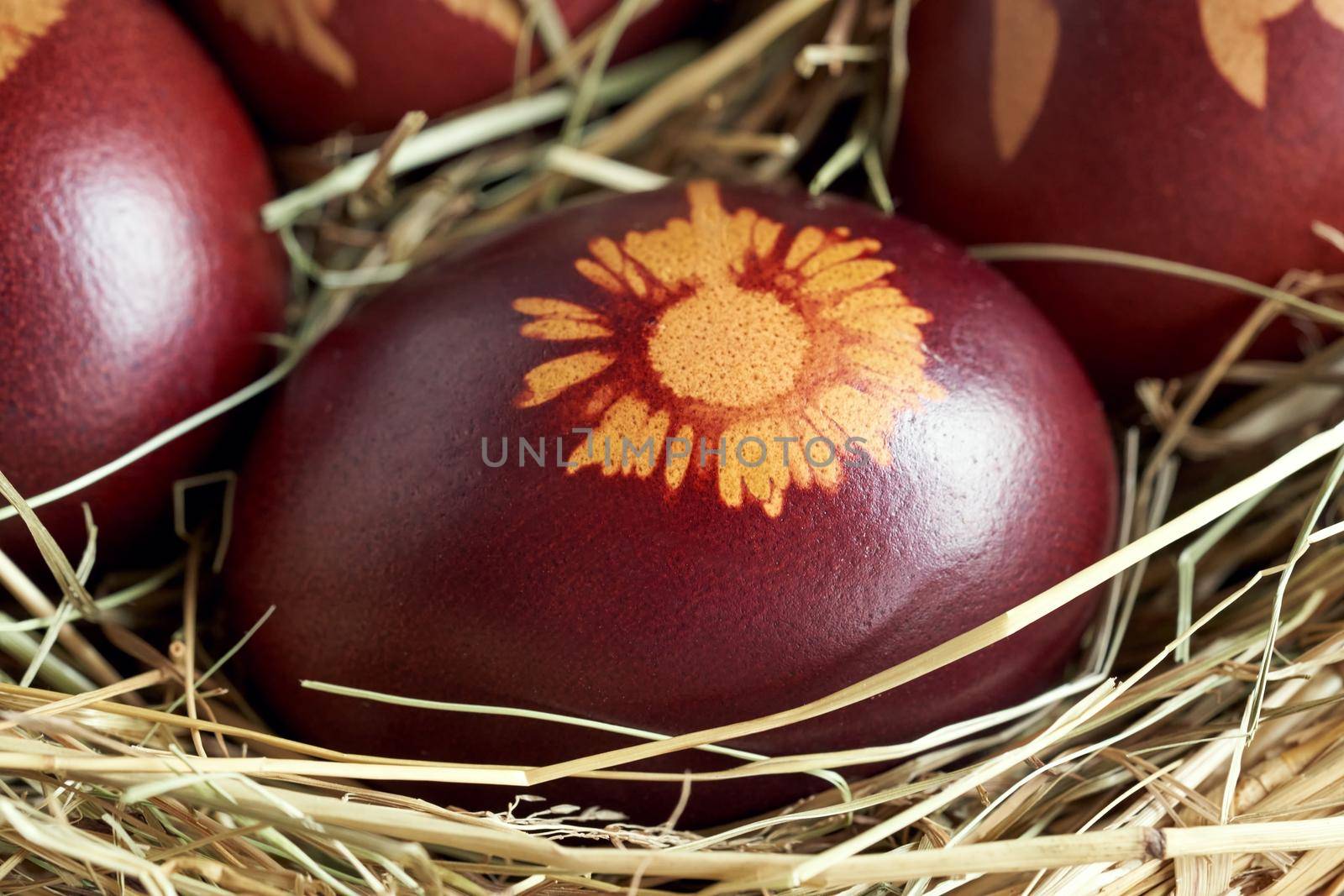 Detail of an Easter egg dyed with onion peels with a pattern of a daisy