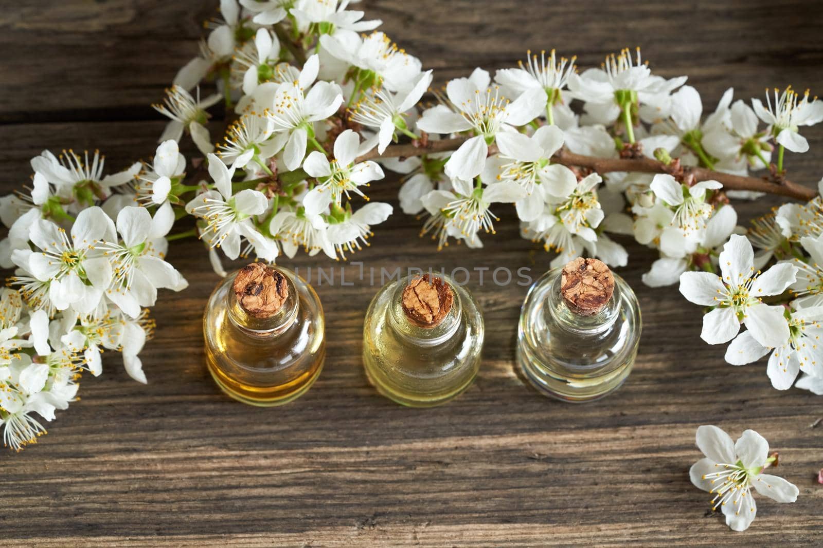 Three essential oil bottles with white blossoms on a wooden rustic table by madeleine_steinbach