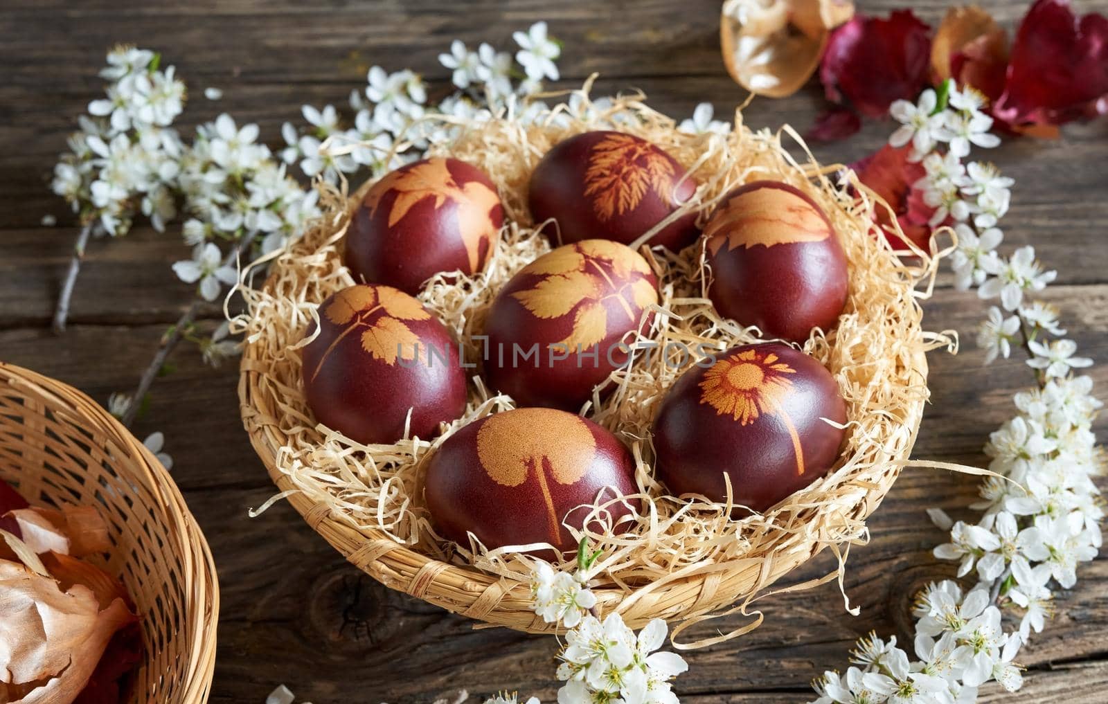 Easter eggs dyed with onion peels in a basket, with blooming tree branches in spring