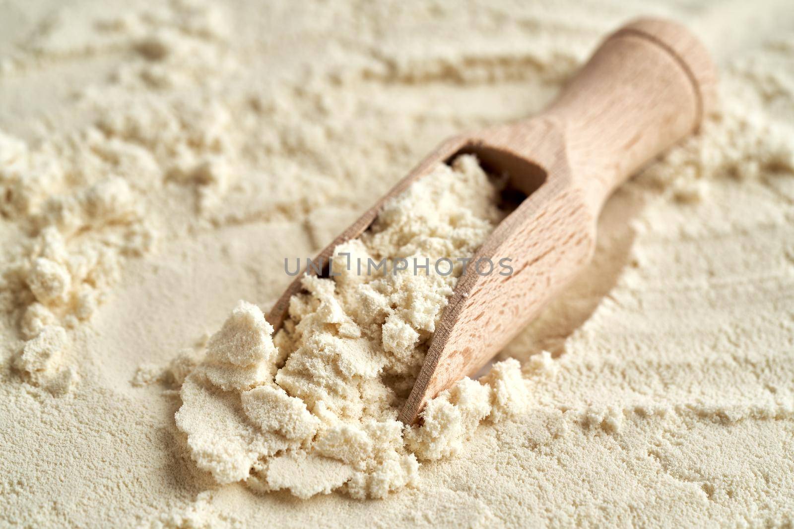 Whey protein powder in a scoop