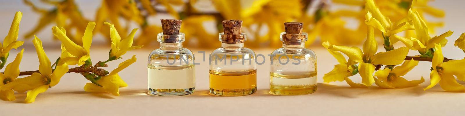 Panoramic header of essential oil bottles with yellow spring flowers - forsythias by madeleine_steinbach