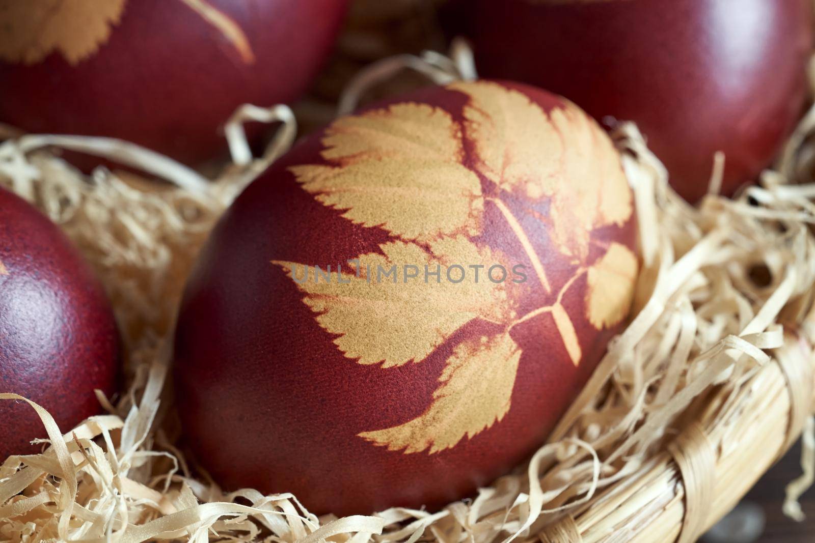 Easter egg dyed with onion peels with a pattern of plant leaves by madeleine_steinbach