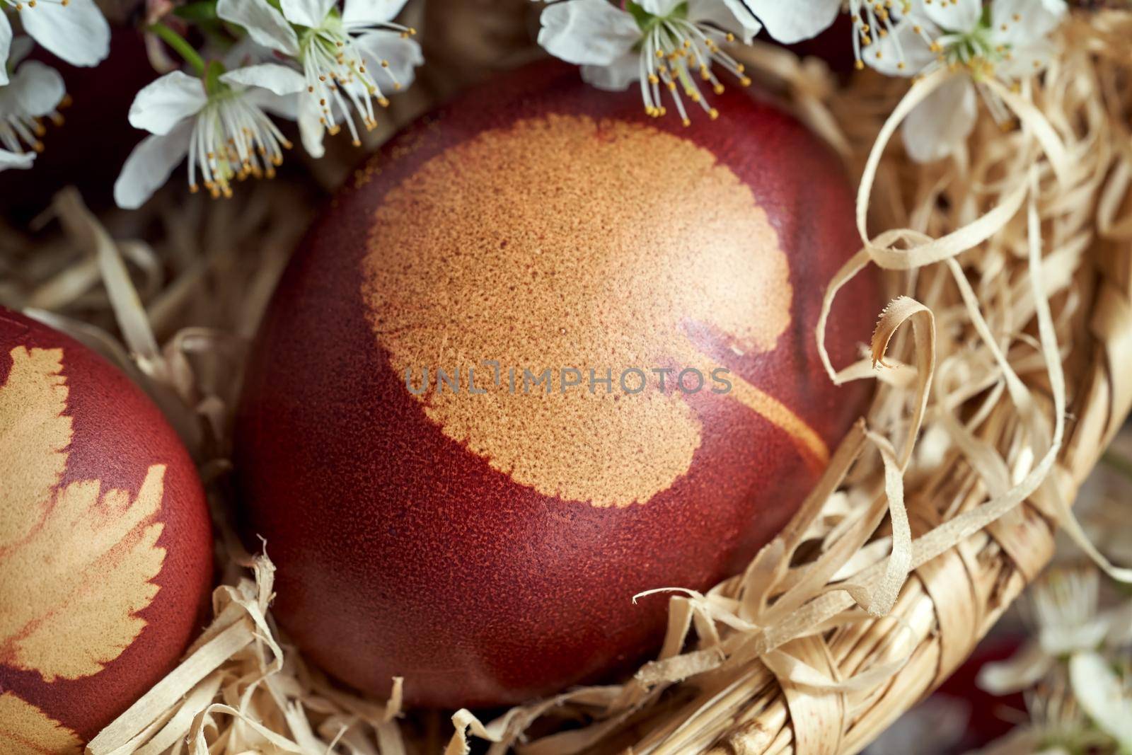 Easter eggs dyed with onion peels with a pattern of herbs, with blooming branches by madeleine_steinbach