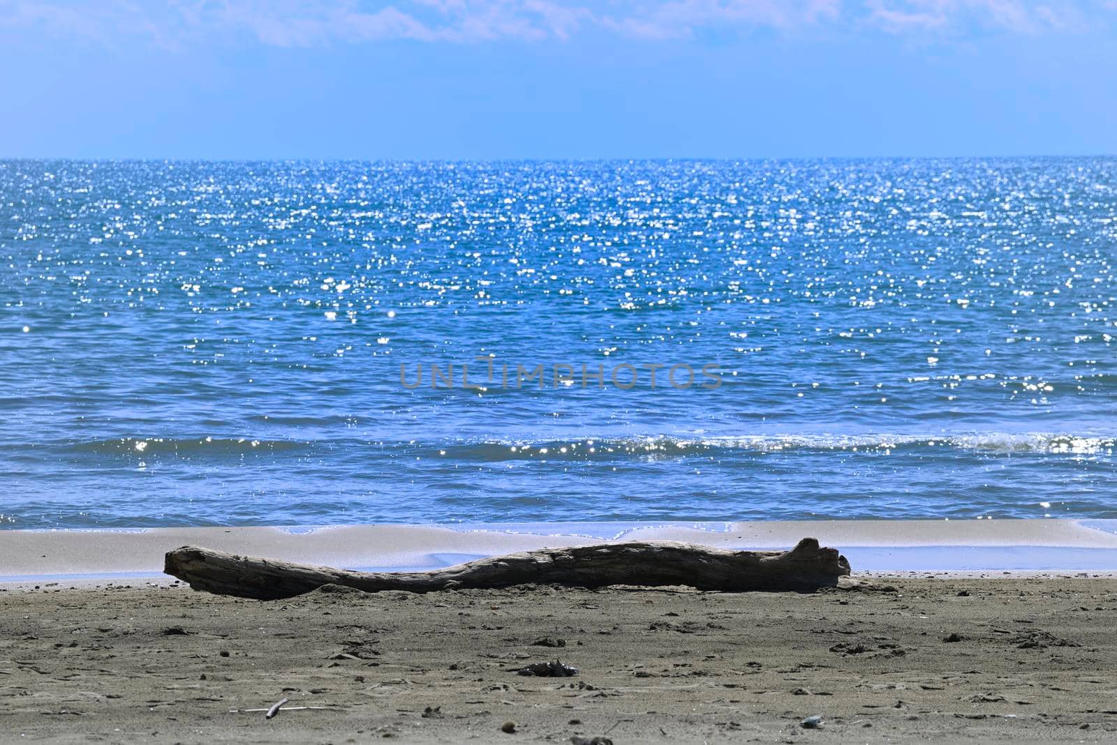 Mediterranean beach detail with sand, shells, driftwood under high sun