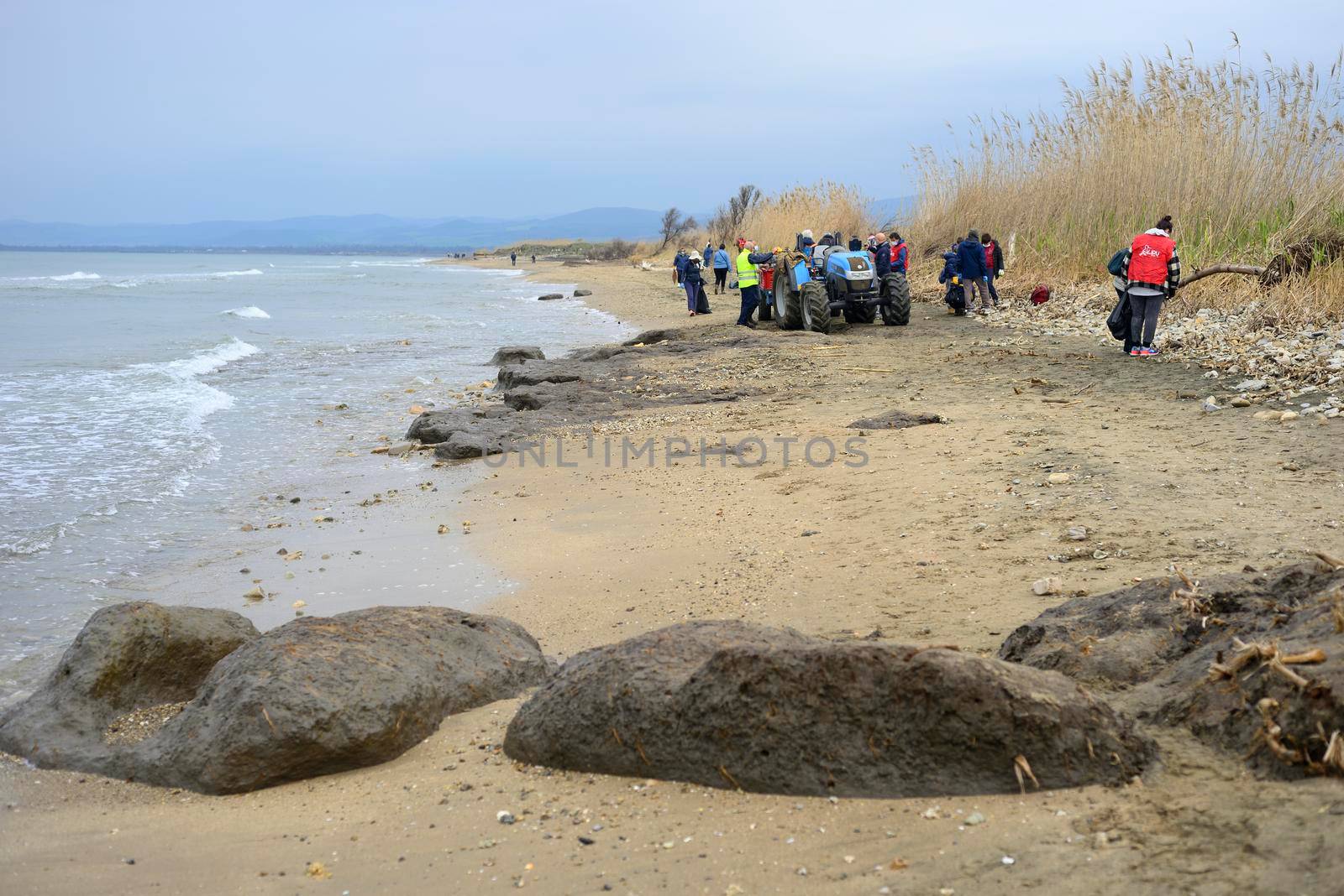 Beach Plastic collection day to protect the Torre Flavia nature protected area in Italy.