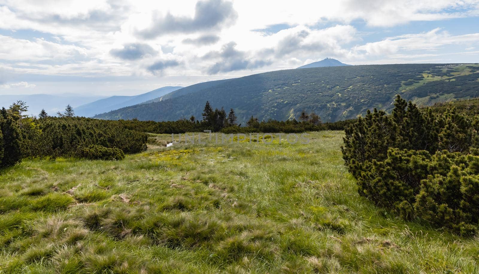 Panorama of Giant Mountains next to trail to Sniezka by Wierzchu