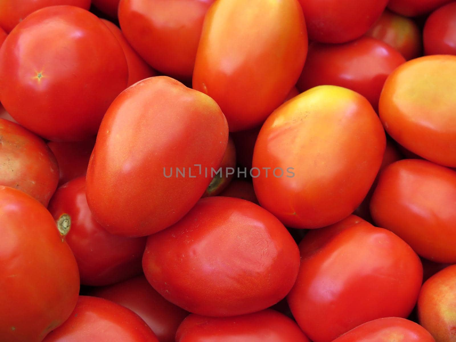 fresh organic Red tomatoes by aroas