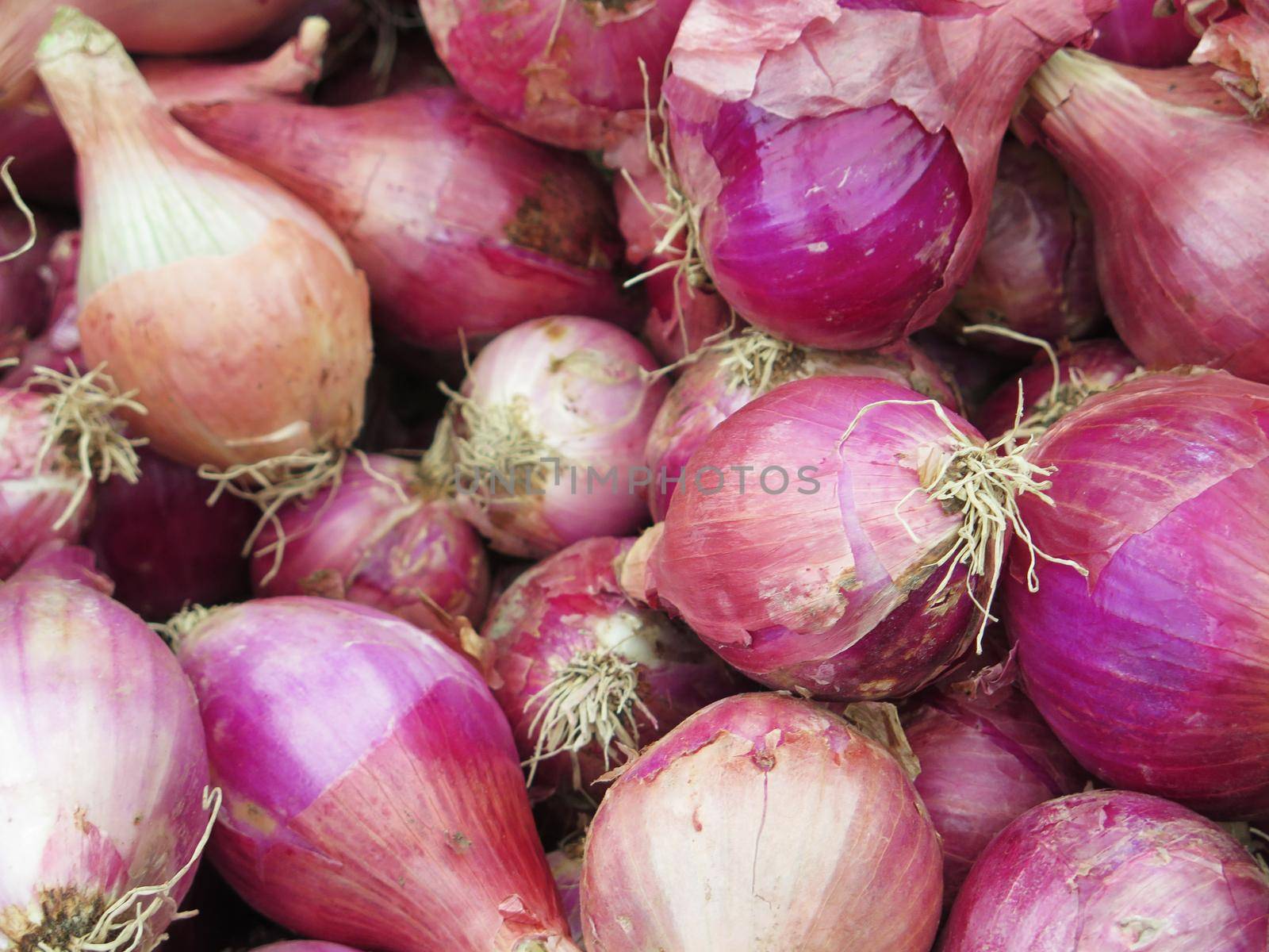 close up of red onions by aroas