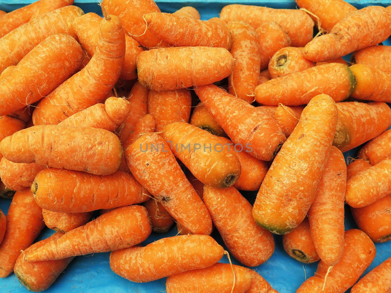 fresh carrots background by aroas