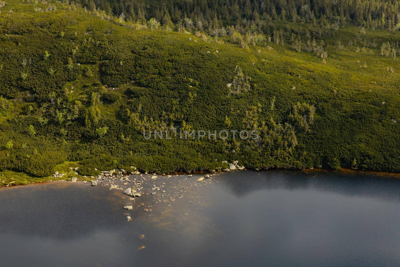 Great pond next to mountain trail in Giant Mountains by Wierzchu