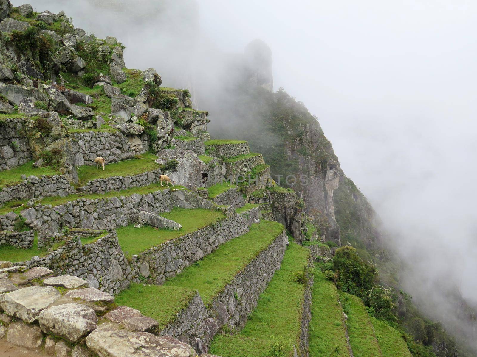 terraces and ancient houses Machu Picchu by aroas