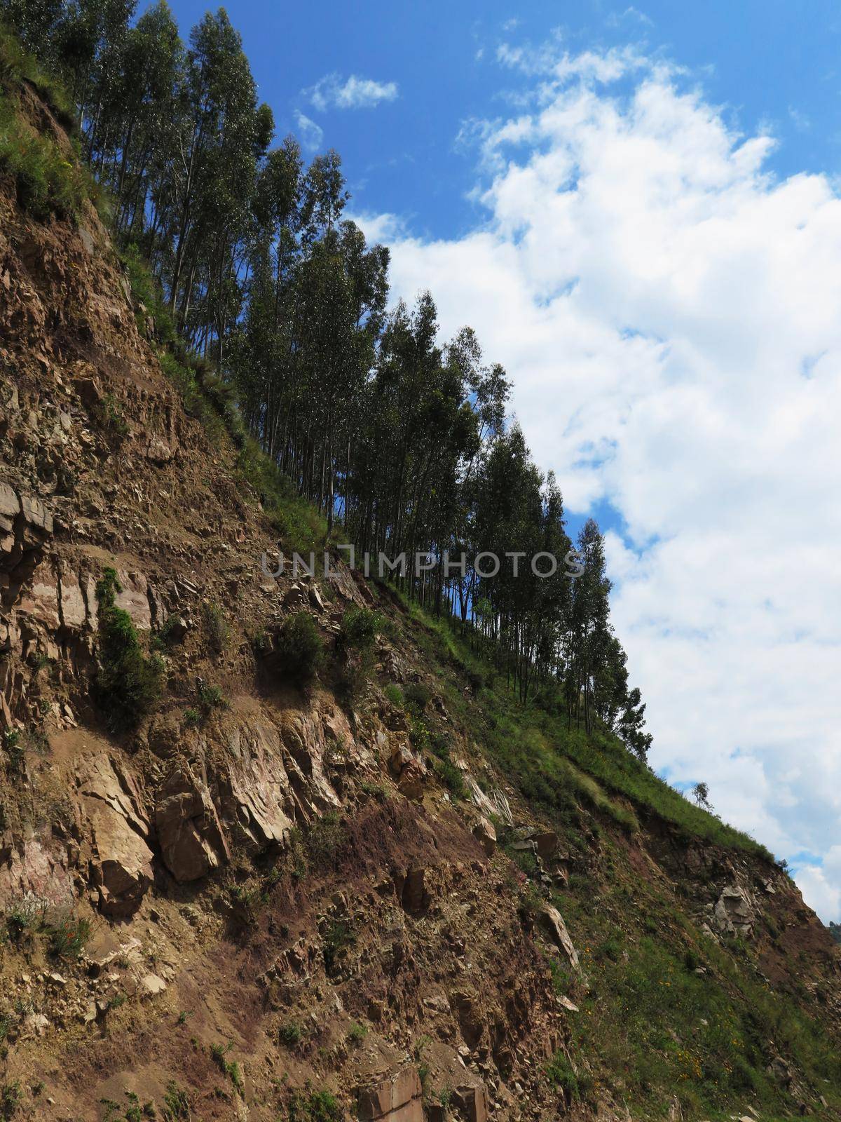 Agricultural field in Sacred Valley, Cusco Region, Peru