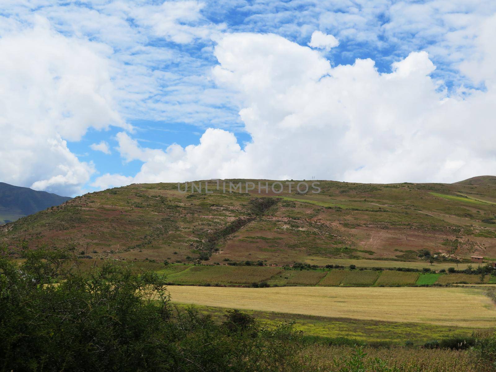 Agricultural field in Sacred Valley, Cusco Region, Peru