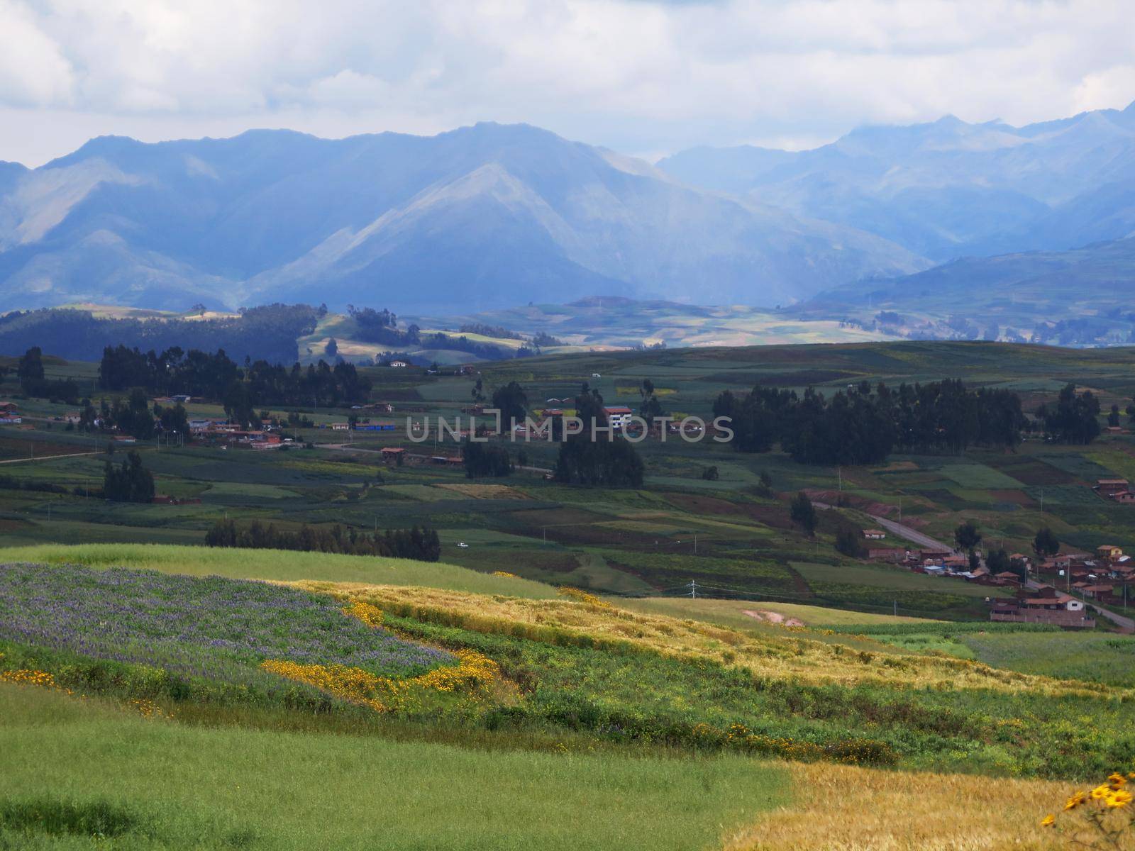 Agricultural field in Sacred Valley, Cusco by aroas