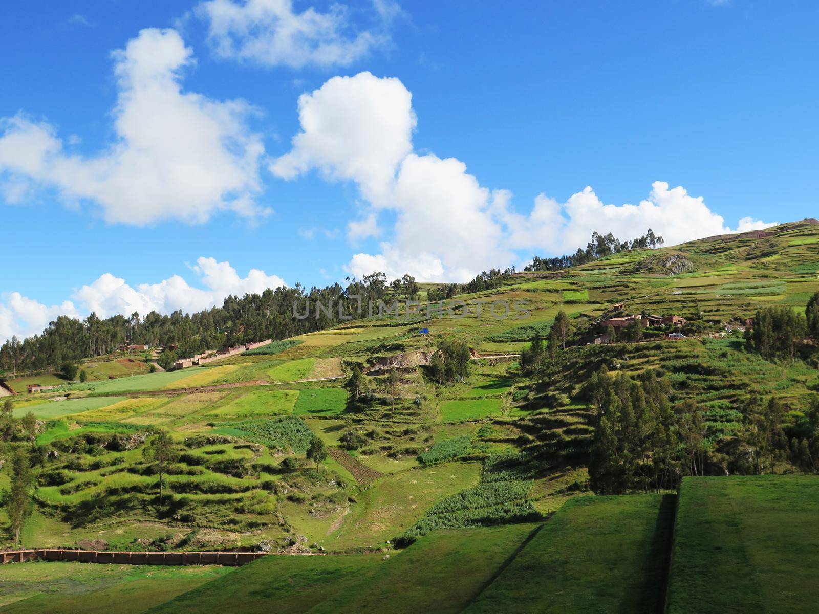 Agricultural field in Sacred Valley, Cusco by aroas