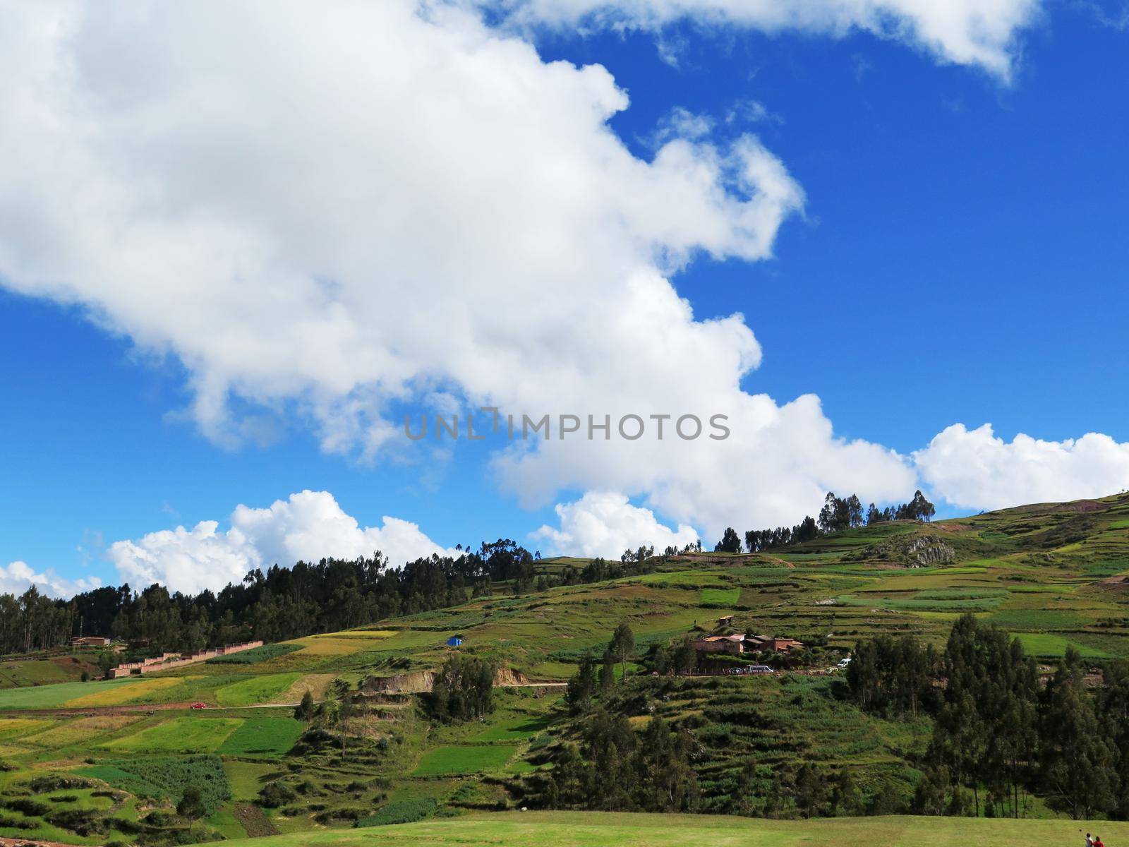 Agricultural field in Sacred Valley, Cusco by aroas