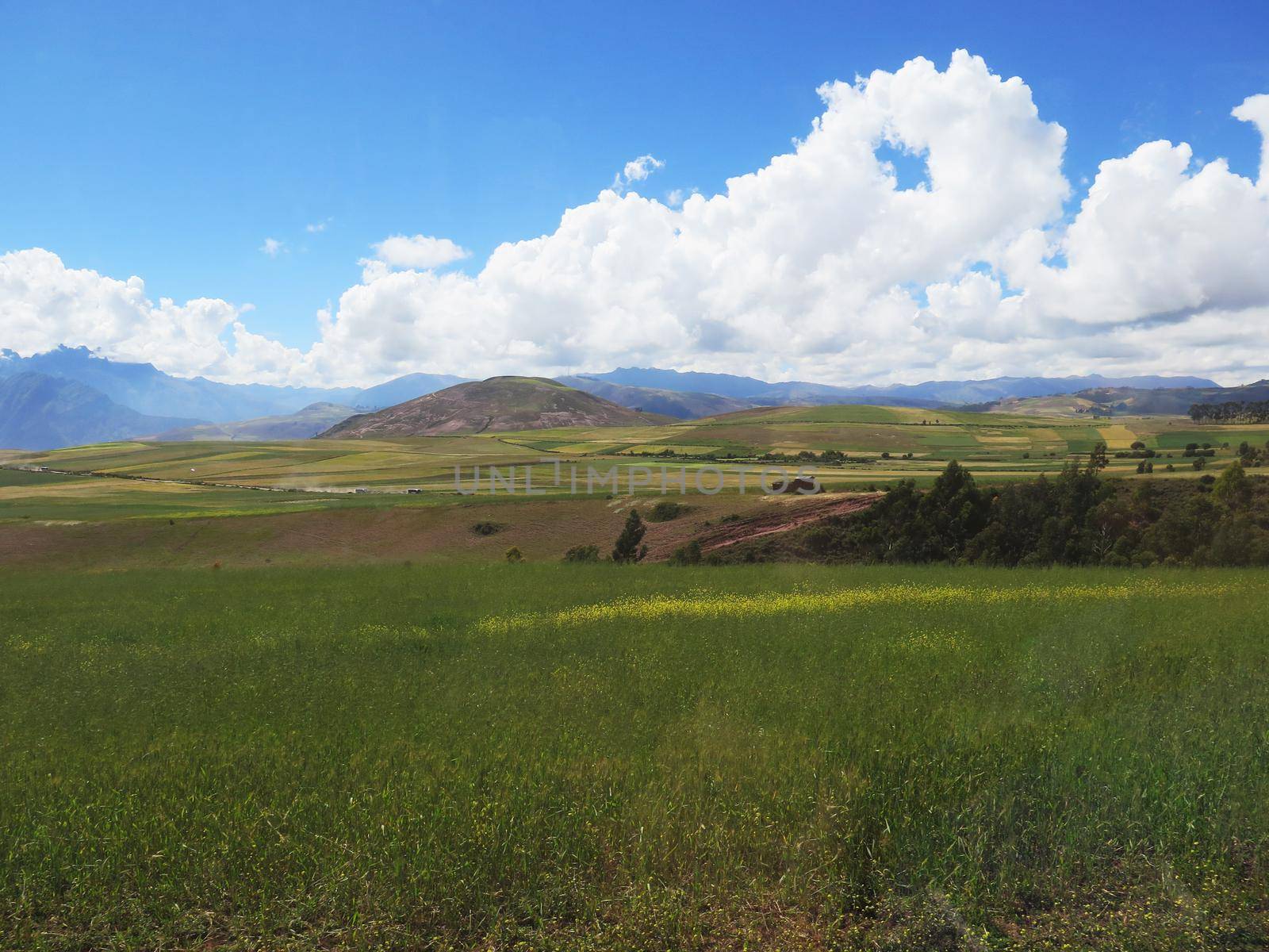 Agricultural field in Sacred Valley, Cusco Region, Peru